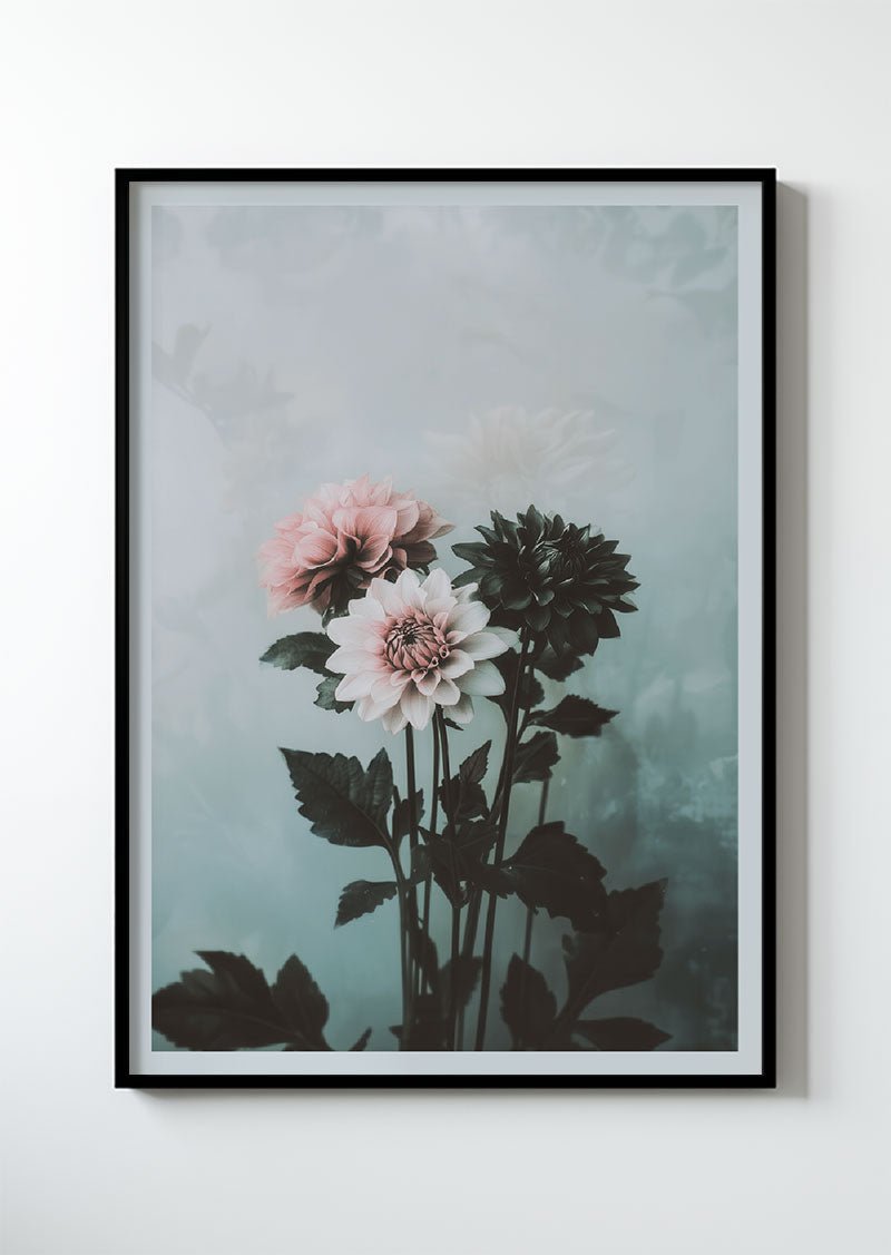 Botanical Academy - Dahlia Serenity