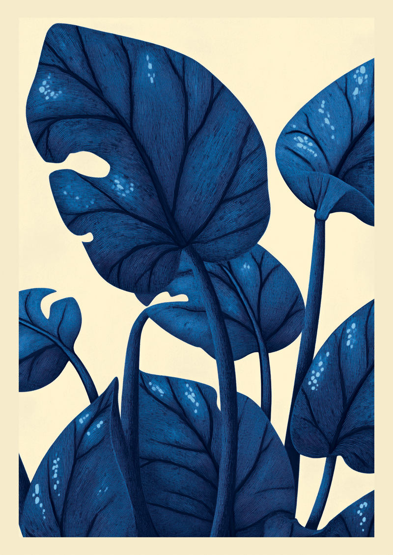 Affiche botanique représentant des grandes feuilles bleues d'Alocasia sur un fond crème.