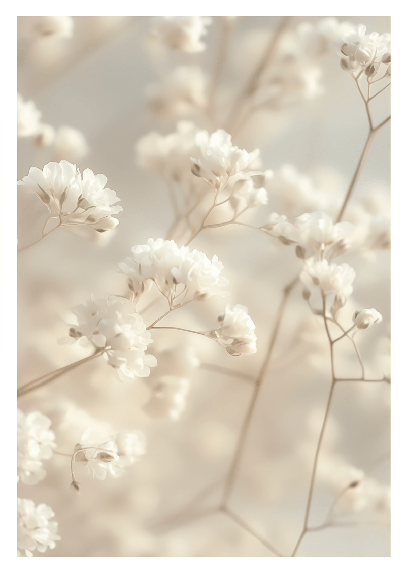 Affiche murale botanique de petites fleurs en gros plan, aux nuances de crème et de blanc.