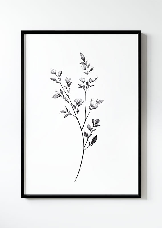 Poster botanique d'une illustration en noir et blanc d'une branche fine de feuilles dans un cadre noir.