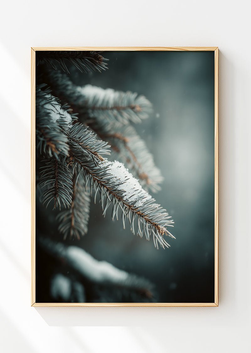 Affiche de noel d'une photographie en gros plan d'une branche d'épicéa, dans un cadre