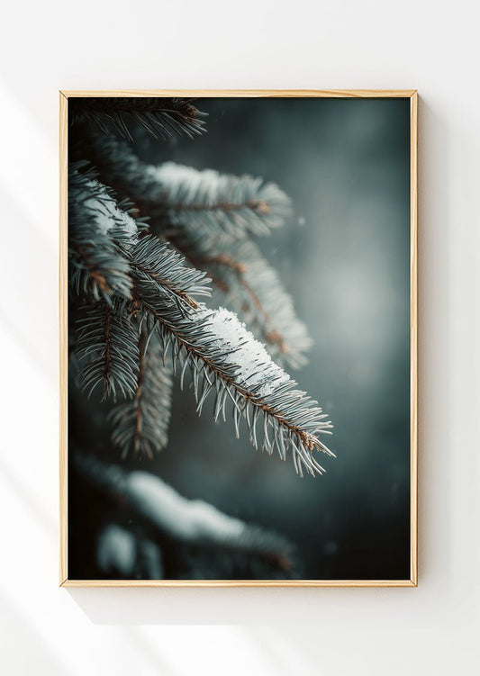 Affiche de noel d'une photographie en gros plan d'une branche d'épicéa, dans un cadre