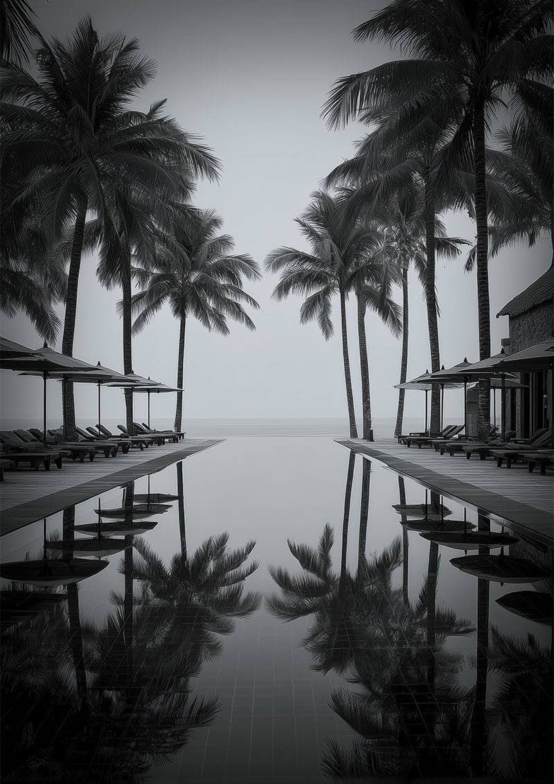 Affiche photographie noir et blanc d'une piscine et de palmiers en californie