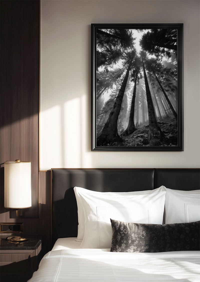 Poster photo noir et blanc d'arbres vu en contreplongée encadrée dans une chambre