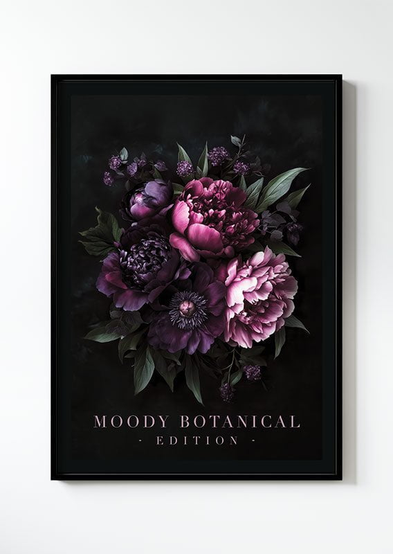 Affiche florale botanique de pivoines, dans un cadre noir sur fond blanc.