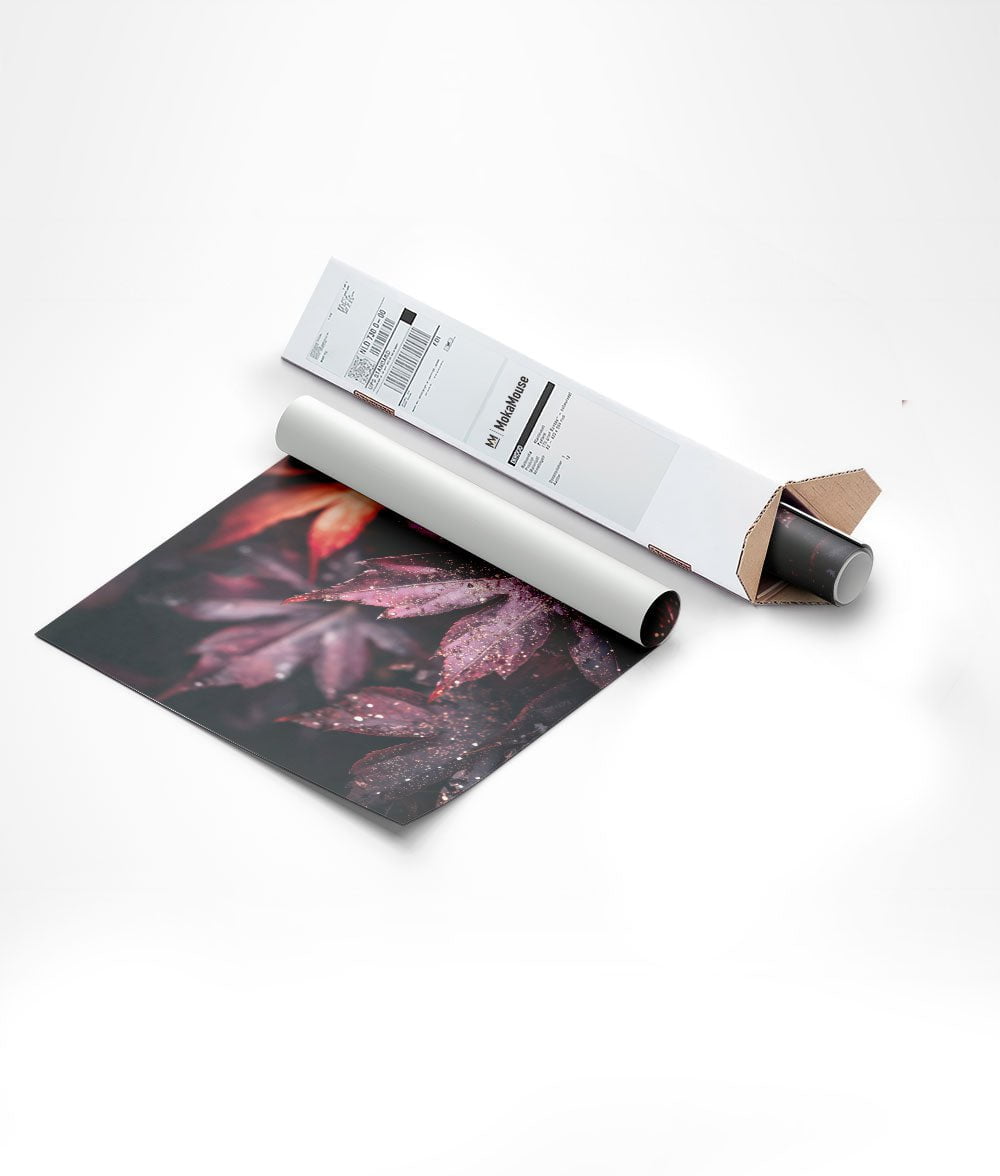Poster automne feuilles d'érable enroulée sur tube et mise dans un carton triangulaire