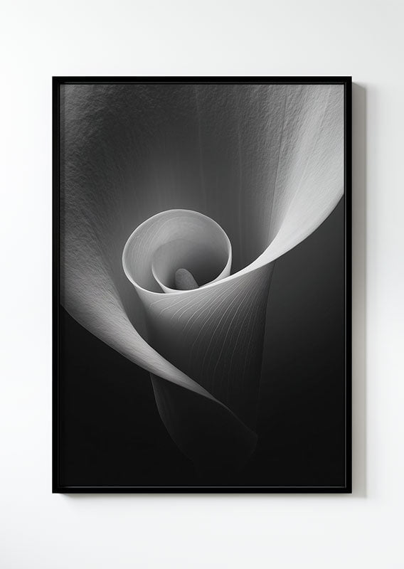 Affiche photographie noir et blanc d'un gros plan sur le centre de la fleur calla lily, dans un cadre