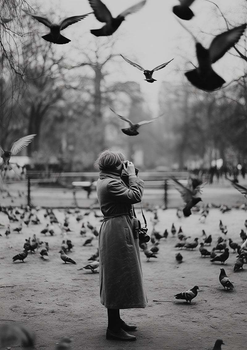 affiche photographie noir et blanc d'une dame prenant en photo des pigeons qui sont autour d'elle