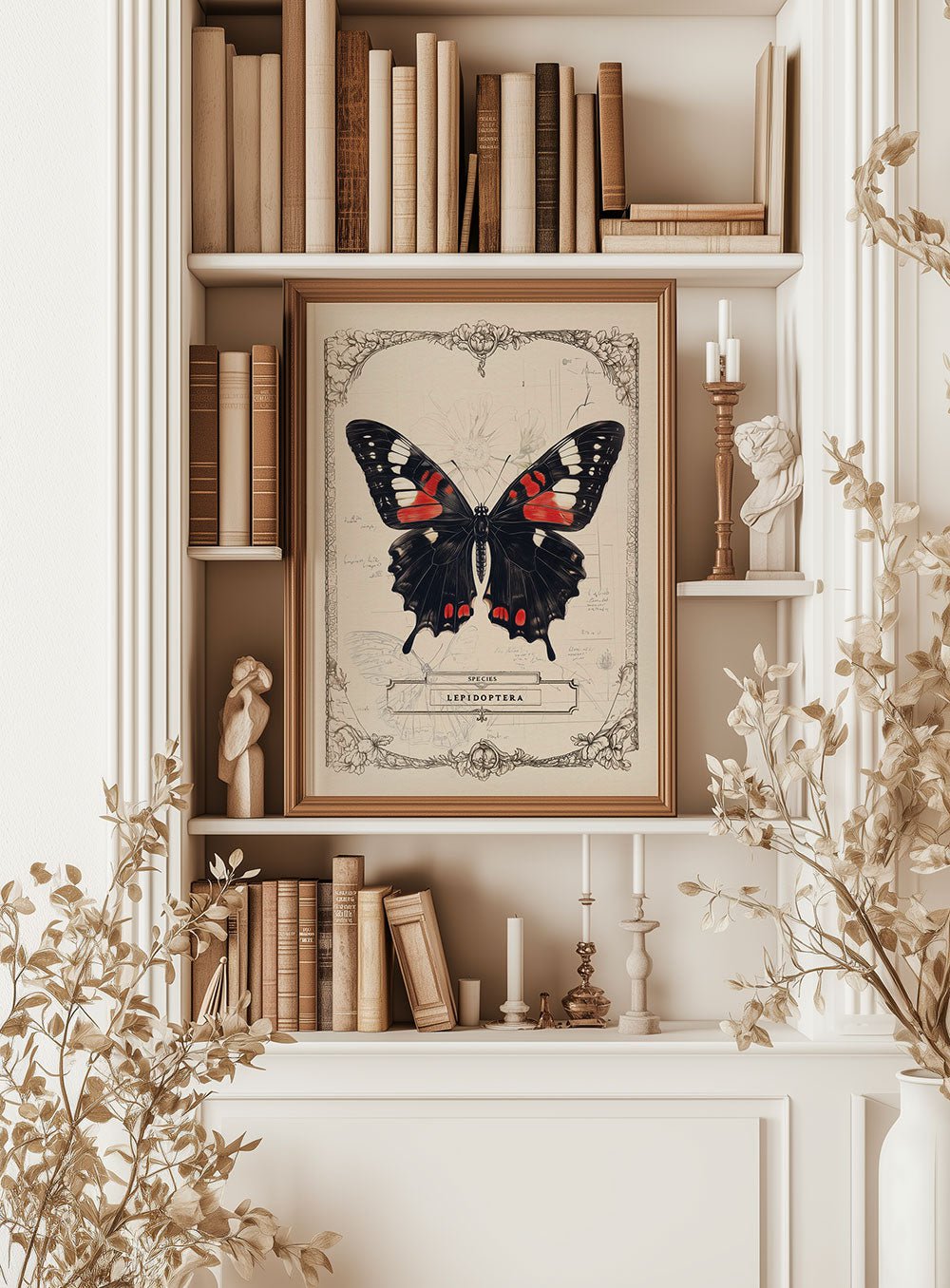 Affiche papillon encadrée du lépidoptere mystique, dans une décoration cabinet de curiosités.