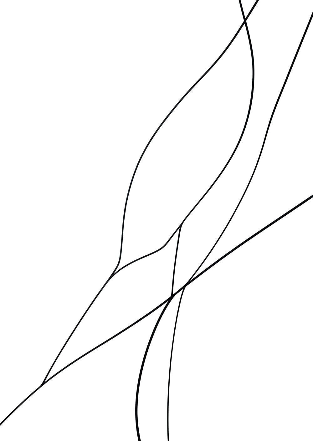 Affiche murale contemporaine représentant des lignes noires organiques sur fond blanc.