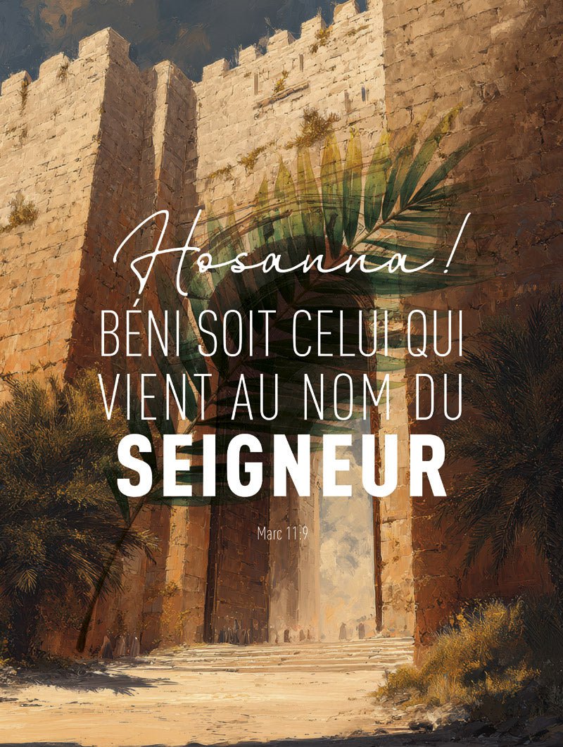 Format 30x40cm du poster chrétien porte de jérusalem avec verset biblique