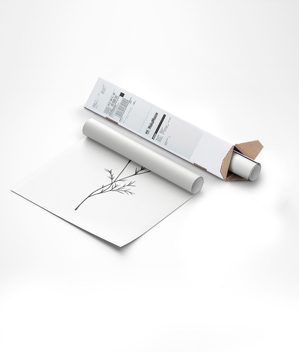 Emballage de l'illustration botanique branche de gypsophile dans un carton triangulaire.