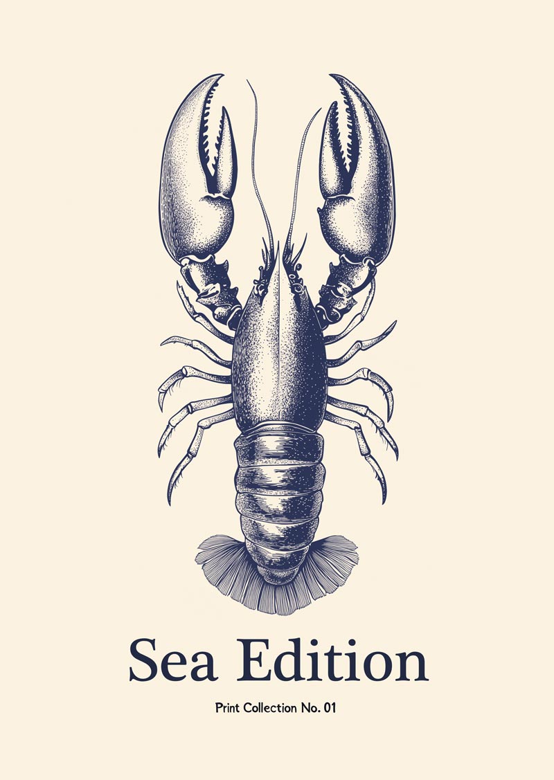 Affiche mer en gravure détaillée d'un homard stylisé, en teinte bleue sur fond crème.