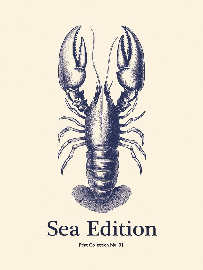 Poster mer et plage sea edition homard 30x60 cm