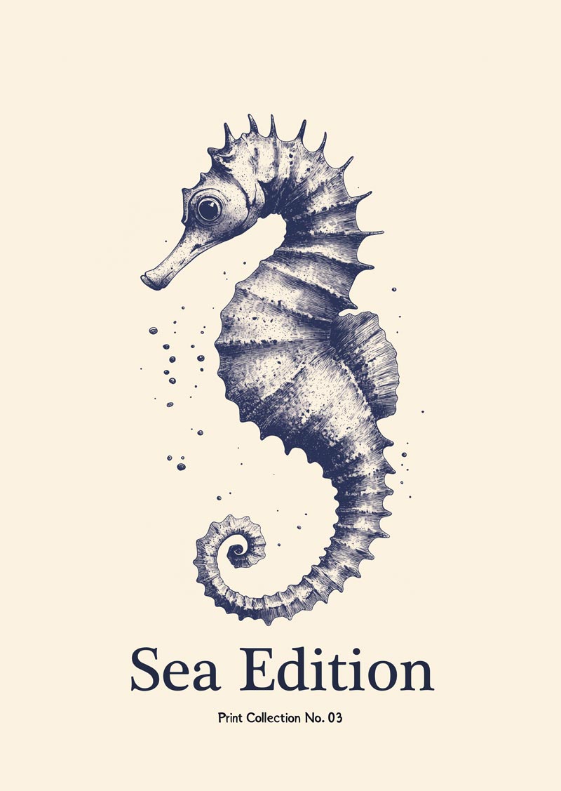 Affiche mer en gravure représentant un hippocampe stylisé bleu sur fond crème