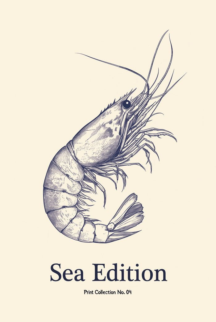 Poster été sea edition crevette en format 40x60 cm