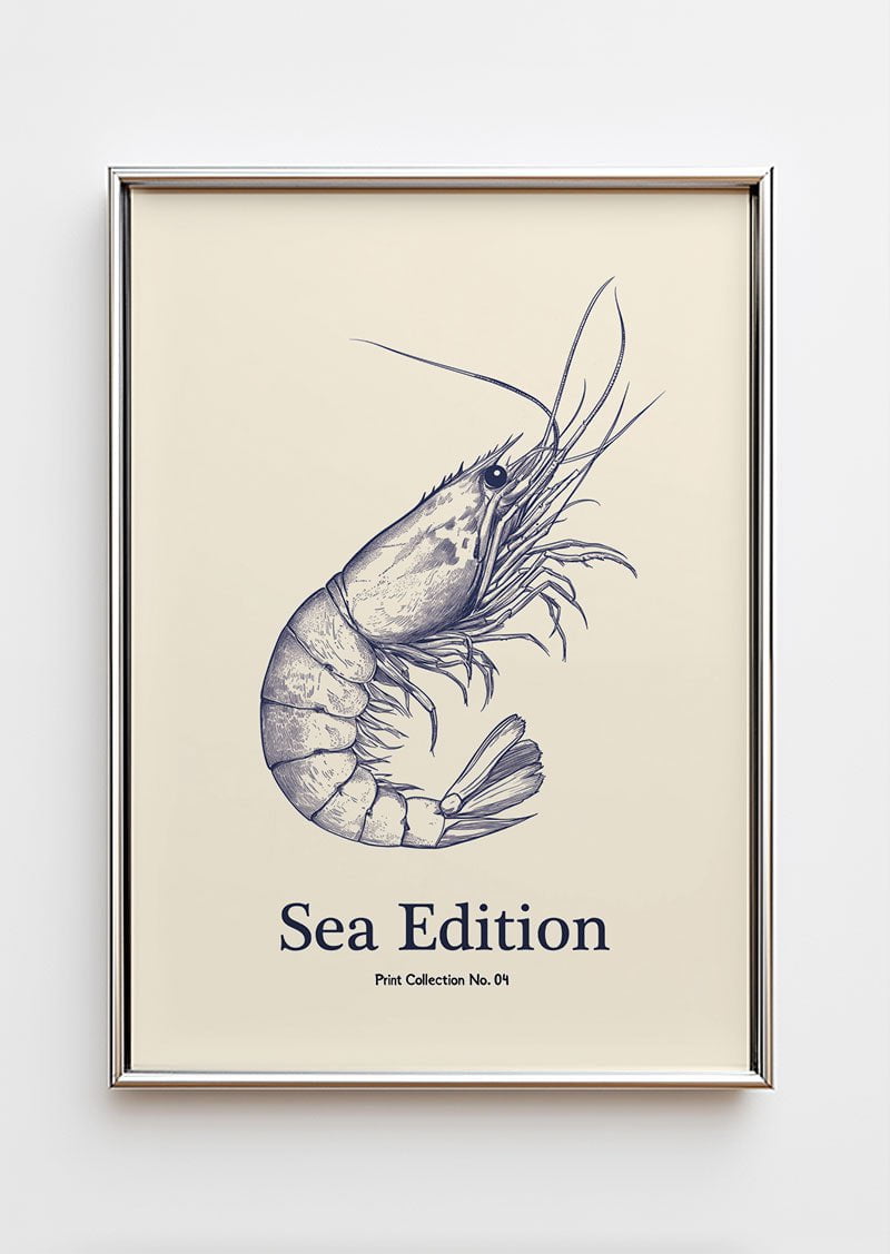 Poster mer illustrant une crevette bleue dans un cadre chromé