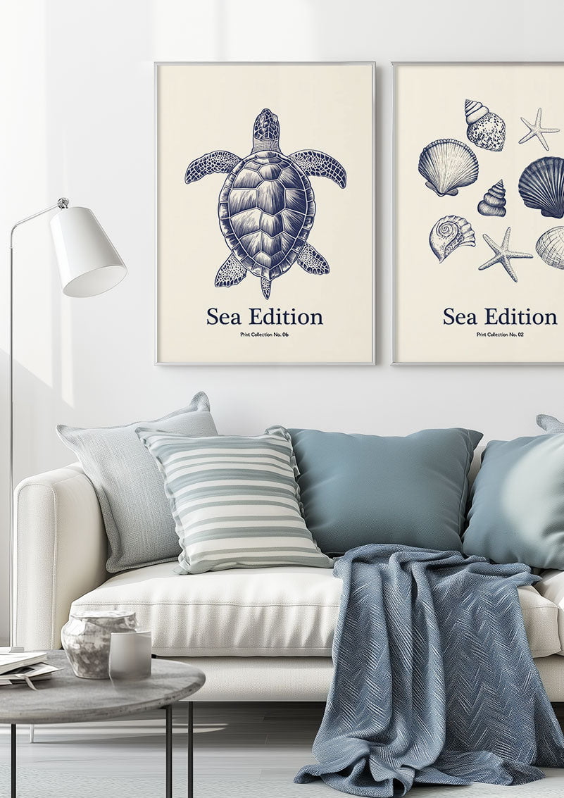 Deux affiche mer représentant une tortue et des coquillages, encadrées au dessus d'un canapé