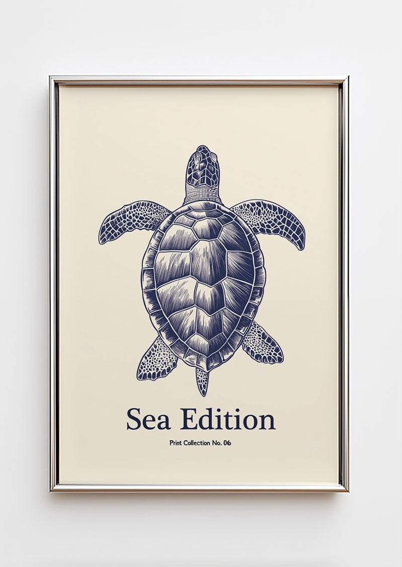 Poster mer illustration d'une tortue en style gravure, en bleue dans un cadre chromé