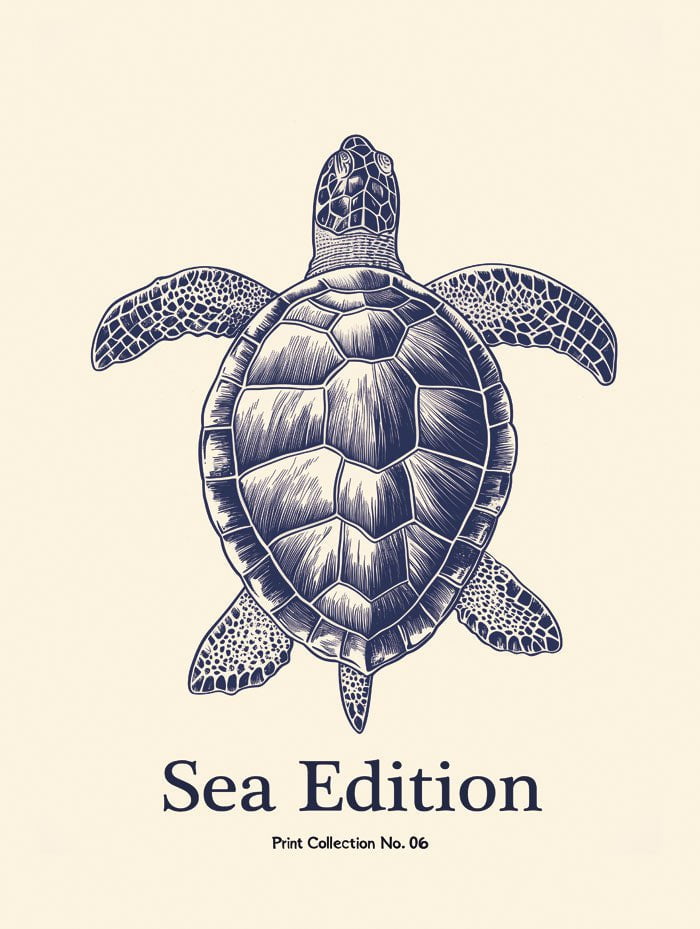 Poster mer et plage sea edition tortue en format 30x40 cm