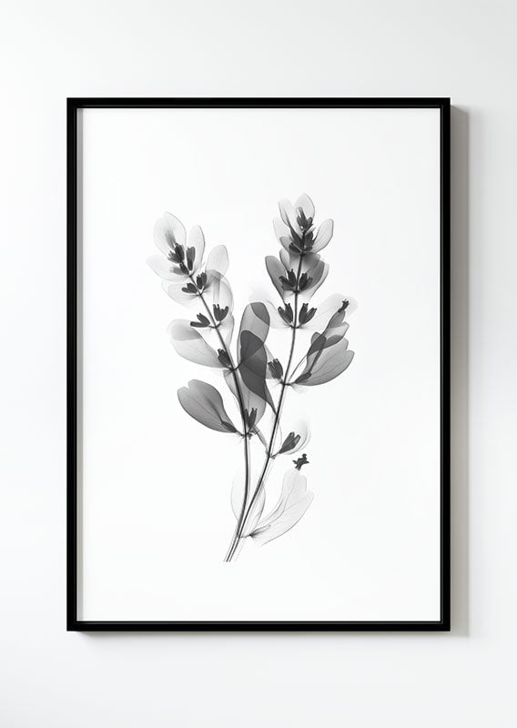 Poster florale et botanique en noir et blanc d'une branche eu rayon X dans un cadre noir.