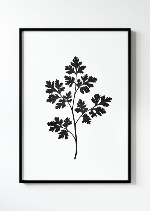 poster botanique d'une impression végétale d'un brin de persil en noir et blanc dans un cadre noir.