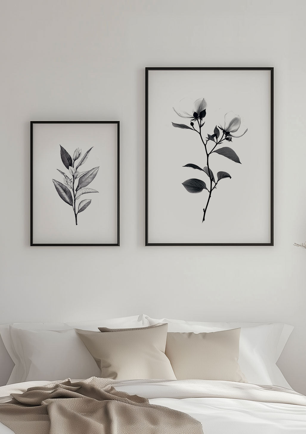 Affiche illustration botanique en noir et blanc encadrées en duo sur un mur.