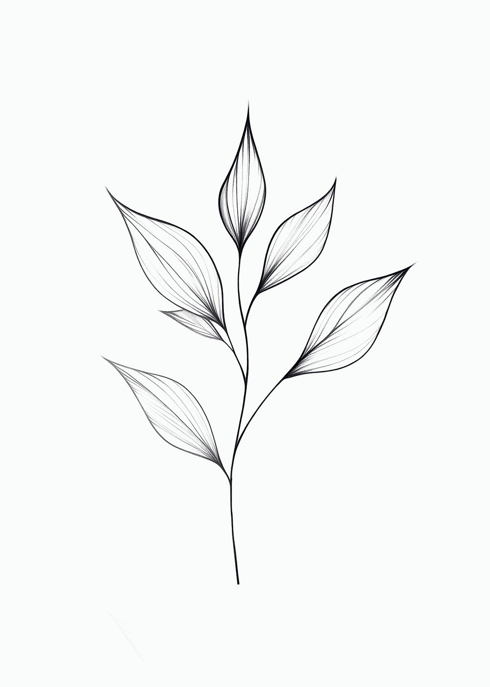 Illustration botanique en noir et blanc d'une branche de feuilles tout en finesse