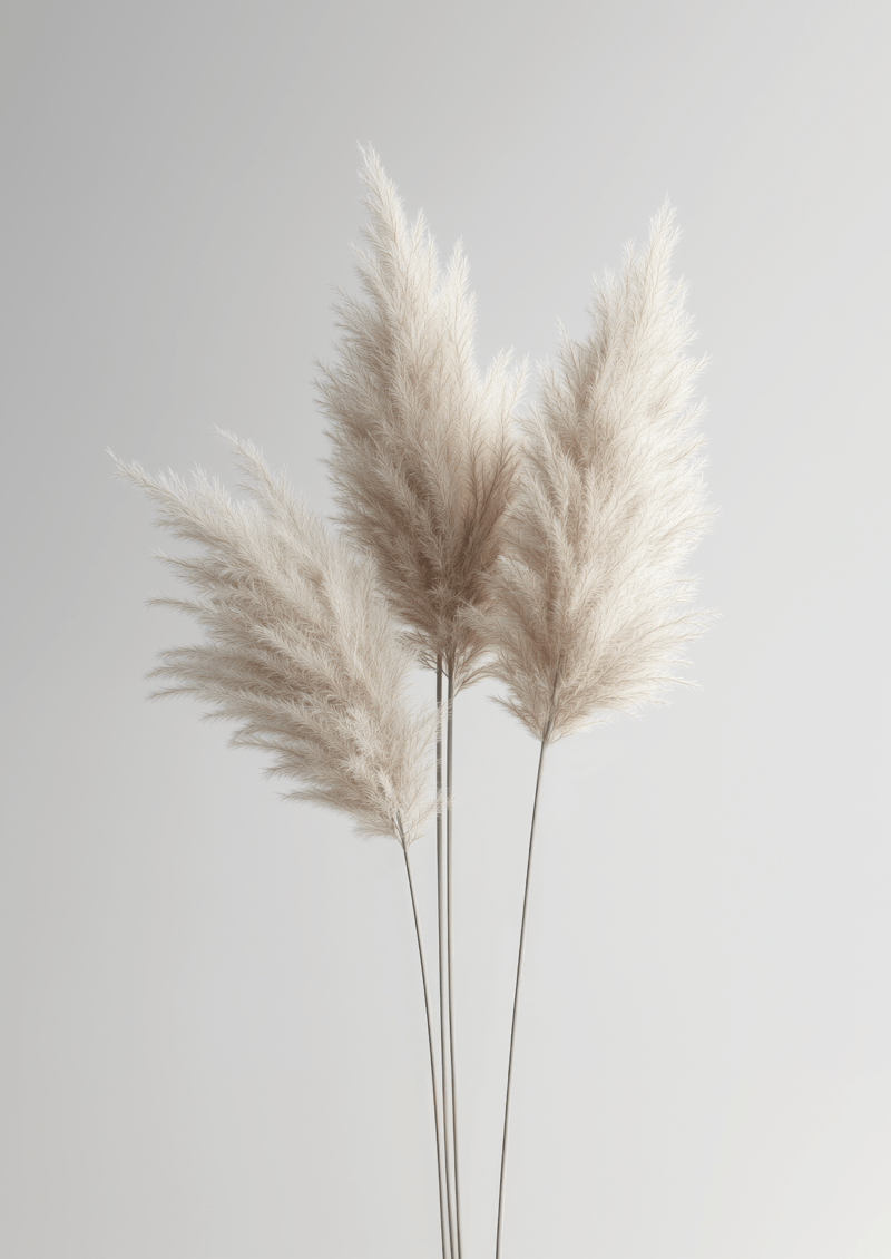 Photographie minimaliste de trois branches d'herbes de pampa sur un fond gris clair.