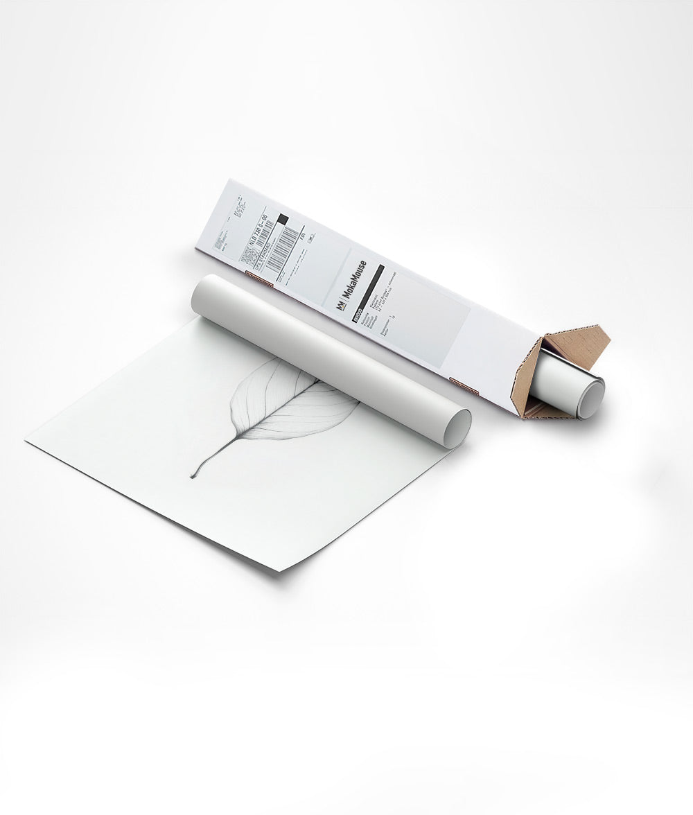 Illustration botanique d'une feuille en transparence, emballée dans un carton triangle.