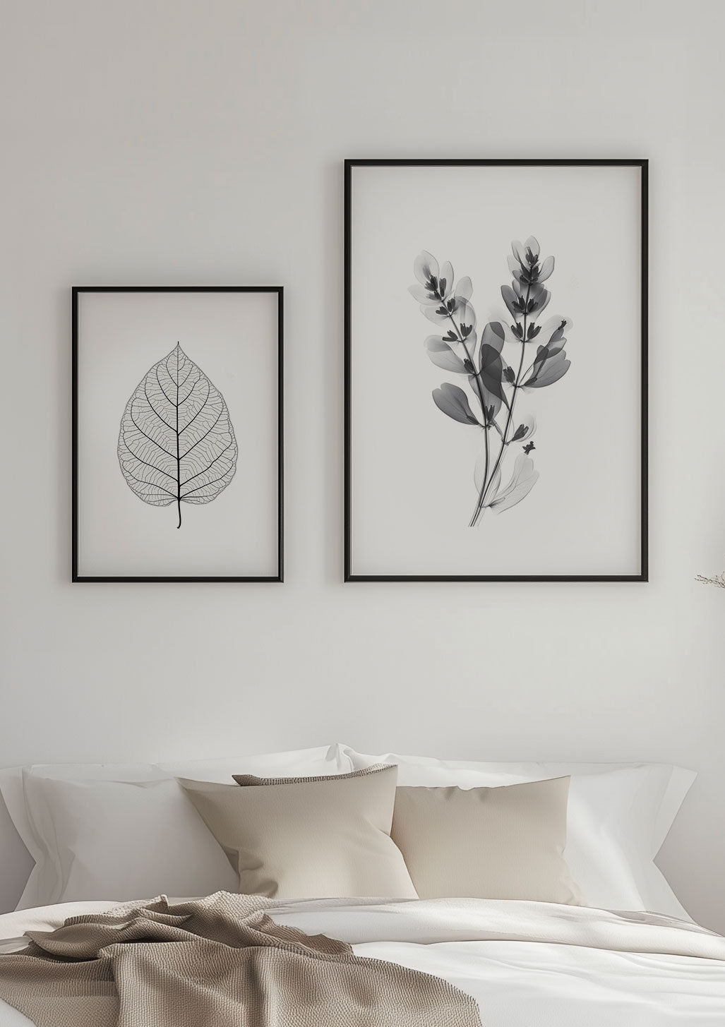 Duo d'illustration botanique en noir sur blanc, encadrée au dessus d'un lit.