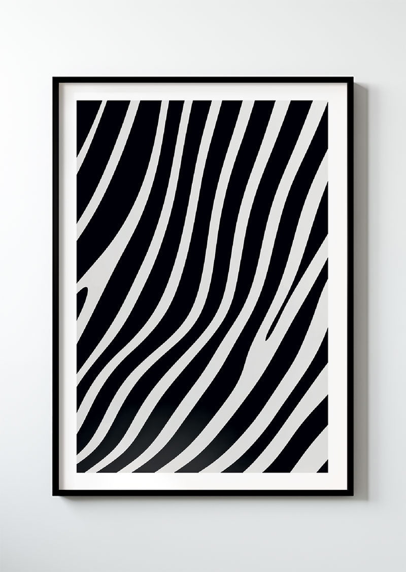 Zebra - série 2