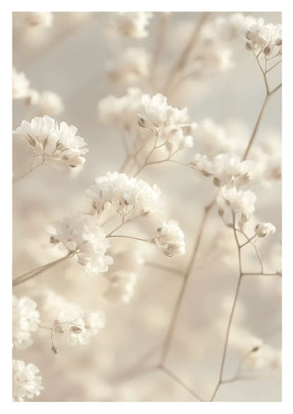 Affiche murale botanique de petites fleurs en gros plan, aux nuances de crème et de blanc.