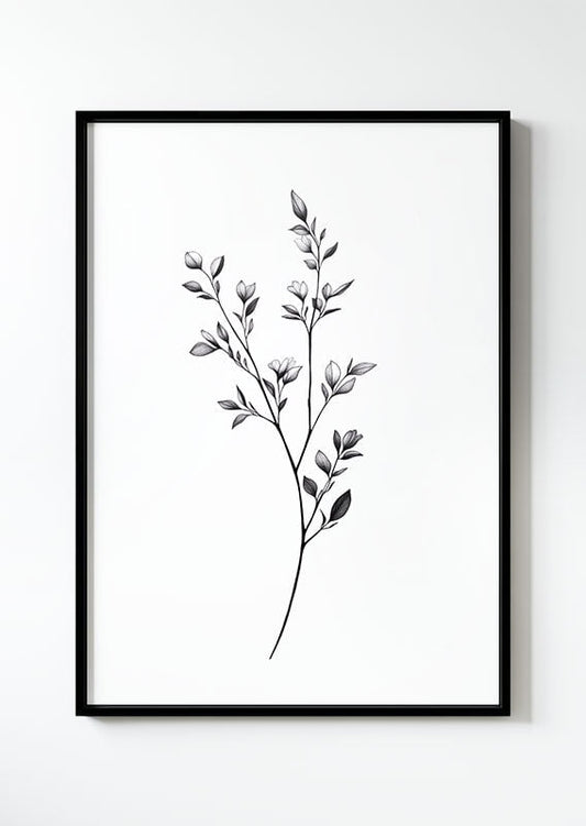 Poster botanique d'une illustration en  noir et blanc d'une branche fine de feuilles dans un cadre noir.