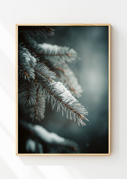 Affiche de noel d'une photographie en gros plan d'une branche d'épicéa, dans un cadre
