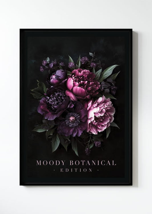Affiche florale botanique de pivoines, dans un cadre noir sur fond blanc.