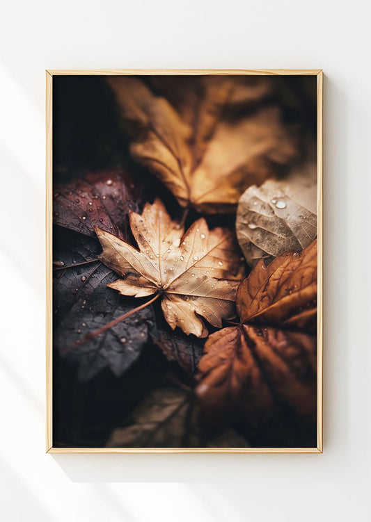 Affiche automne montrant un gros plan sur des feuilles de platanes dans un cadre en bois