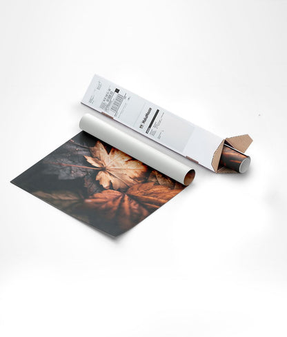 Poster automne feuilles de platane en gros plan emballée dans un carton triangulaire