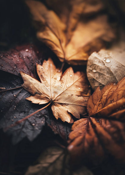Affiche automne mettant en valeur des feuilles de platane aux couleurs chaudes avec des gouttes d'eau