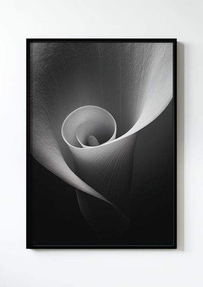 Affiche photographie noir et blanc d'un gros plan sur le centre de la fleur calla lily, dans un cadre