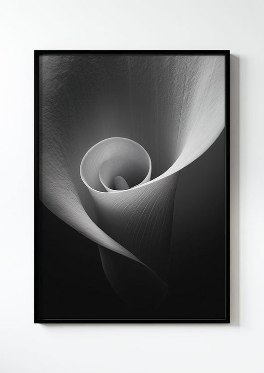 Affiche photographie noir et blanc d'un gros plan sur le centre de la fleur calla lily, dans un cadre