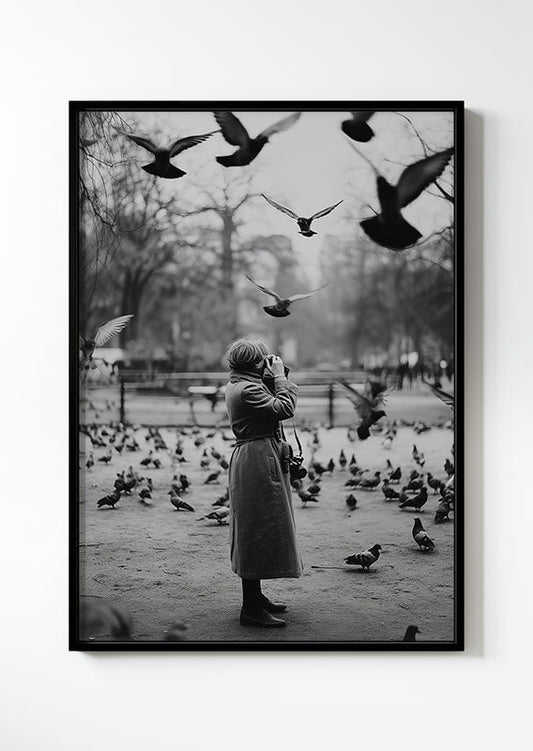 affiche photographie noir et blanc d'une dame prenant en photo des pigeons dans un cadre noir