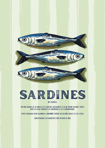 Affiche mer montrant trois sardines illustrées sur fond rayé vert pale et blanc avec typo