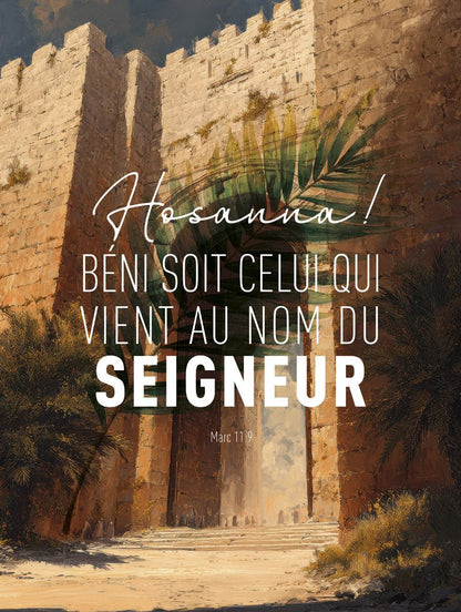 Format 30x40cm du poster chrétien porte de jérusalem avec verset biblique