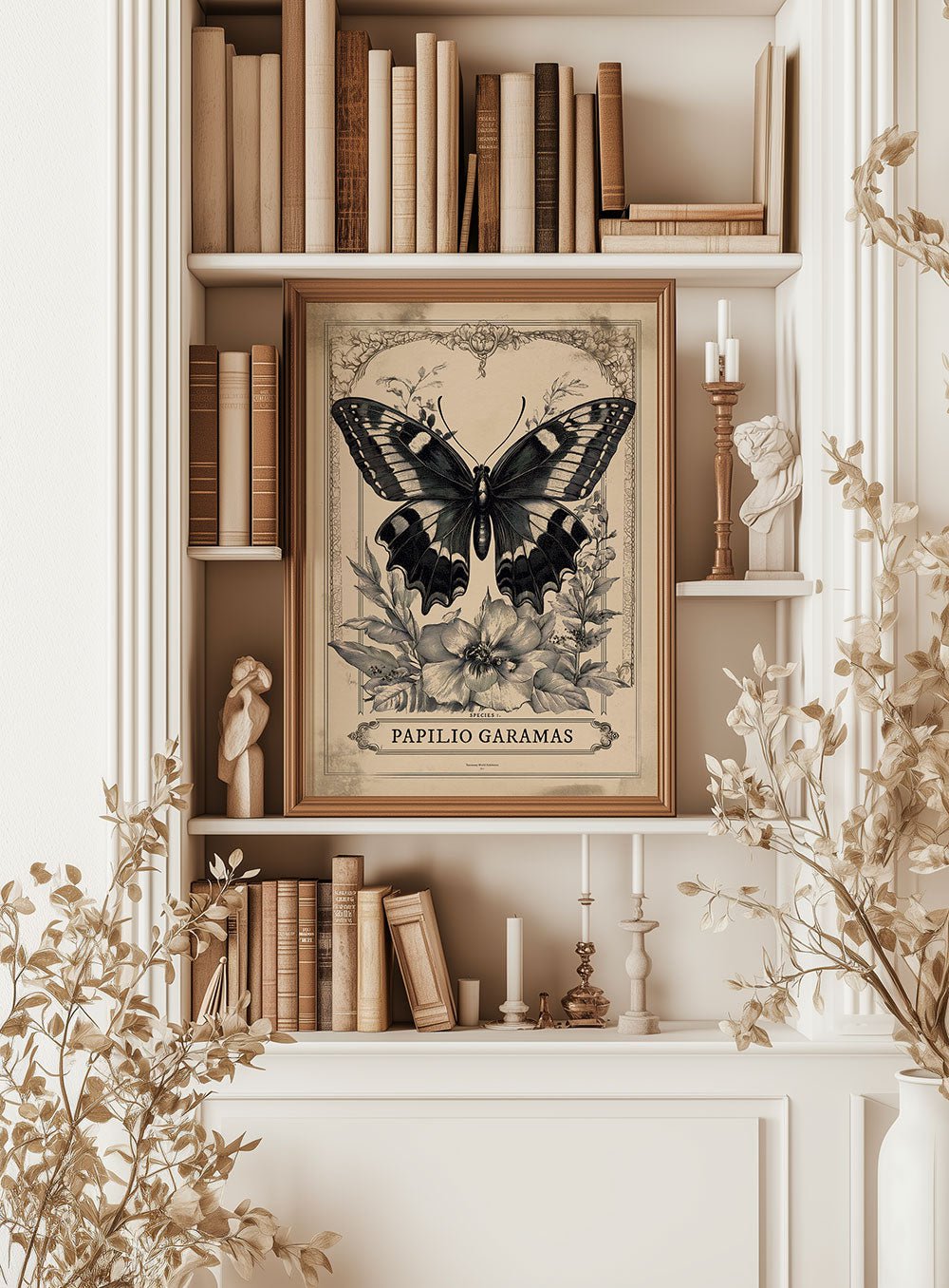 Affiche Papillon Garamas, encadrée sur une étagère d'une décoration cabinet de curiosités blanche.