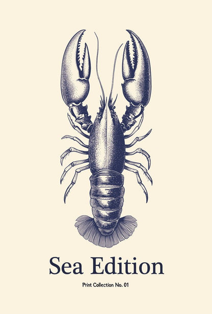 Poster été sea edition homard taille 40x60 cm