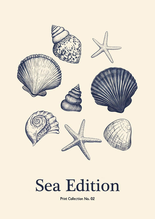 Affiche mer d'une collection de coquillages et d’étoiles de mer en gravure, sur fond crème