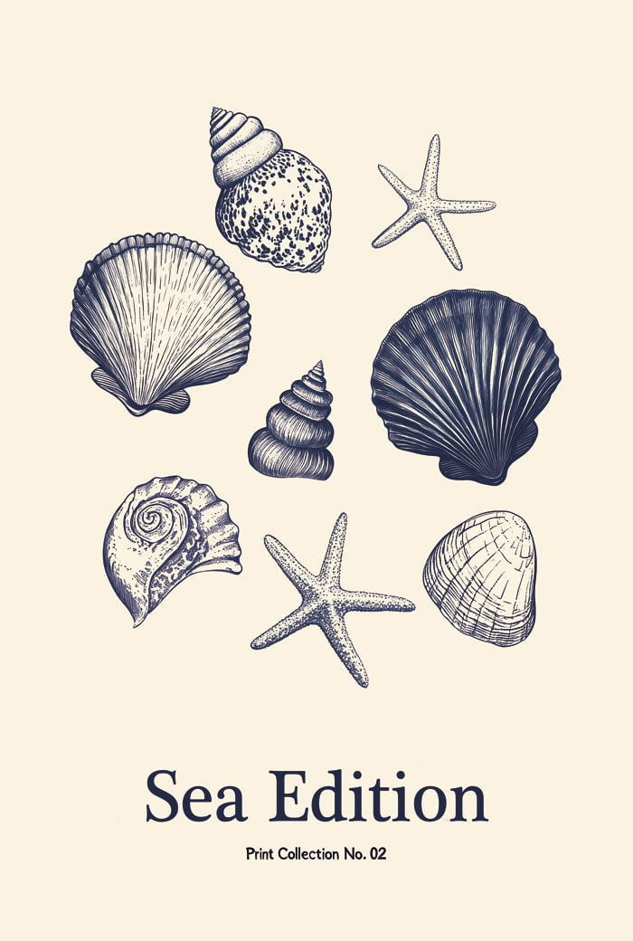 Poster été sea edition 02 coquillages 