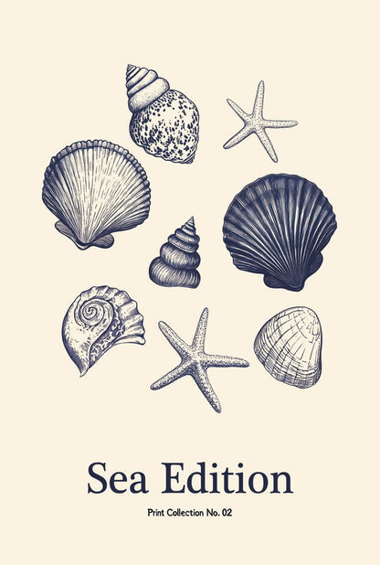 Poster été sea edition 02 coquillages 
