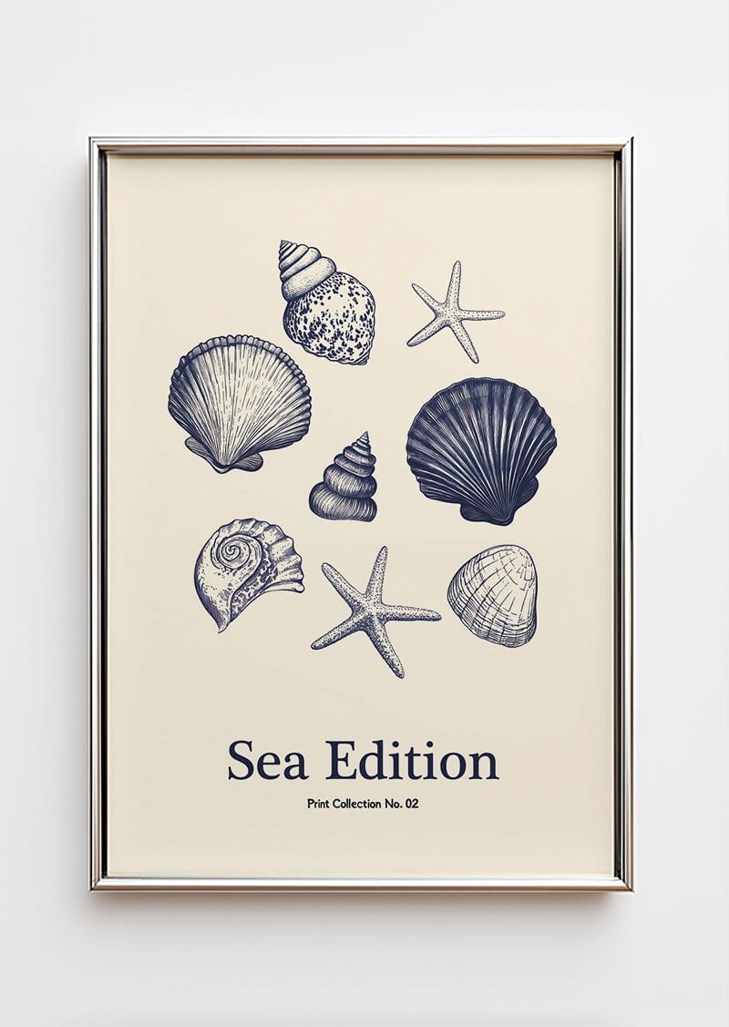 Poster mer d'une collection de coquillages et d’étoiles de mer dans un cadre chromé